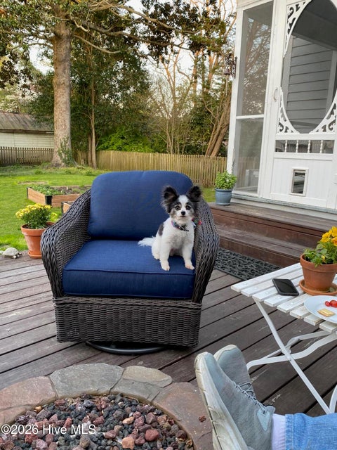 Tiny photo for 524 W Main Street, Washington, NC 27889 (MLS # 100602609)