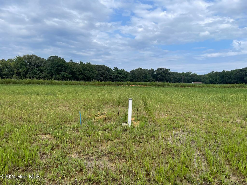 Photo of 162 Seashore Street, Grimesland, NC 27837 (MLS # 100561360)