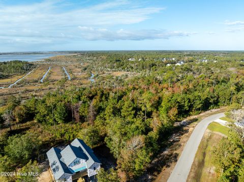 Tiny photo for 343 Landon Lane, Sneads Ferry, NC 28460 (MLS # 100474880)