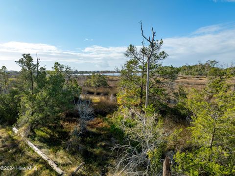 Tiny photo for 343 Landon Lane, Sneads Ferry, NC 28460 (MLS # 100474880)