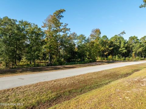 Tiny photo for 343 Landon Lane, Sneads Ferry, NC 28460 (MLS # 100474880)