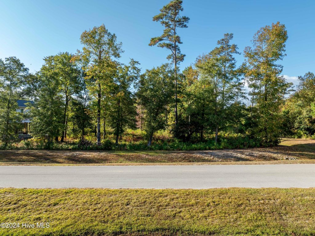 Photo of 343 Landon Lane, Sneads Ferry, NC 28460 (MLS # 100474880)