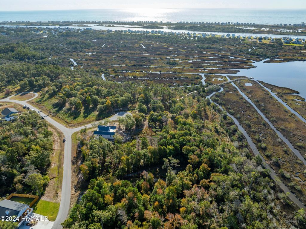 Photo of 343 Landon Lane, Sneads Ferry, NC 28460 (MLS # 100474880)