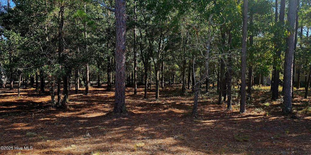 Photo of 3510 Tarpon Court SE, Bolivia, NC 28422 (MLS # 100533766)