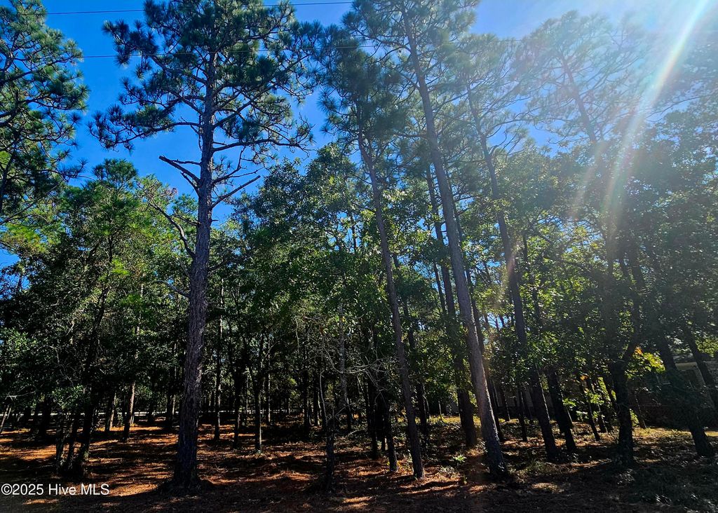 Photo of 3510 Tarpon Court SE, Bolivia, NC 28422 (MLS # 100533766)