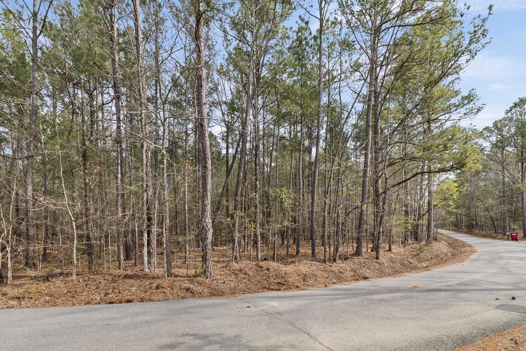 Photo of 0 Lbk Circle, Tignall, GA 30668 (MLS # 553710)