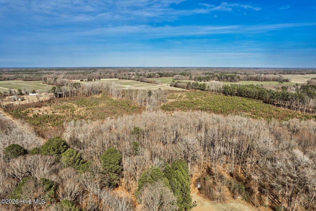Photo of 000 Ethridge Road, Whitakers, NC 27891 (MLS # 100586164)