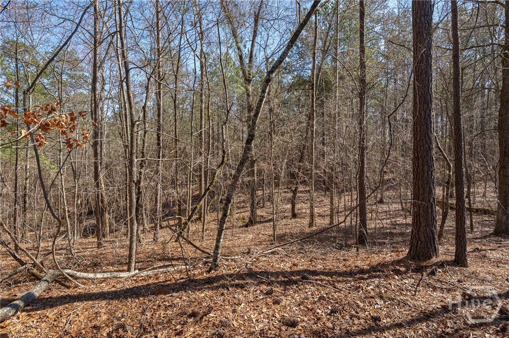 Photo of 0 Kent Rock Road, Loganville, GA 30052 (MLS # CL346488)