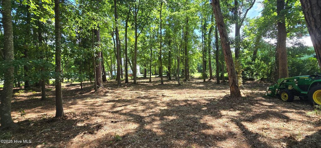 Photo of 1 Swan Point Road, Washington, NC 27889 (MLS # 100520455)