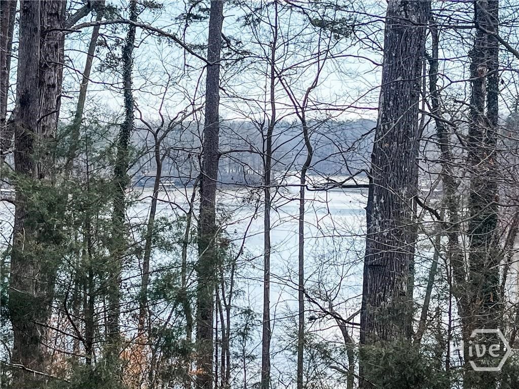 Photo of 0 Rue Maurice #22-23, Lavonia, GA 30553 (MLS # CL345669)