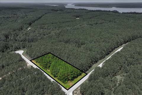 Vacant Land For Sale - 1070 Cody Trail<br/> Lincoln County, Tignall, GA 30668