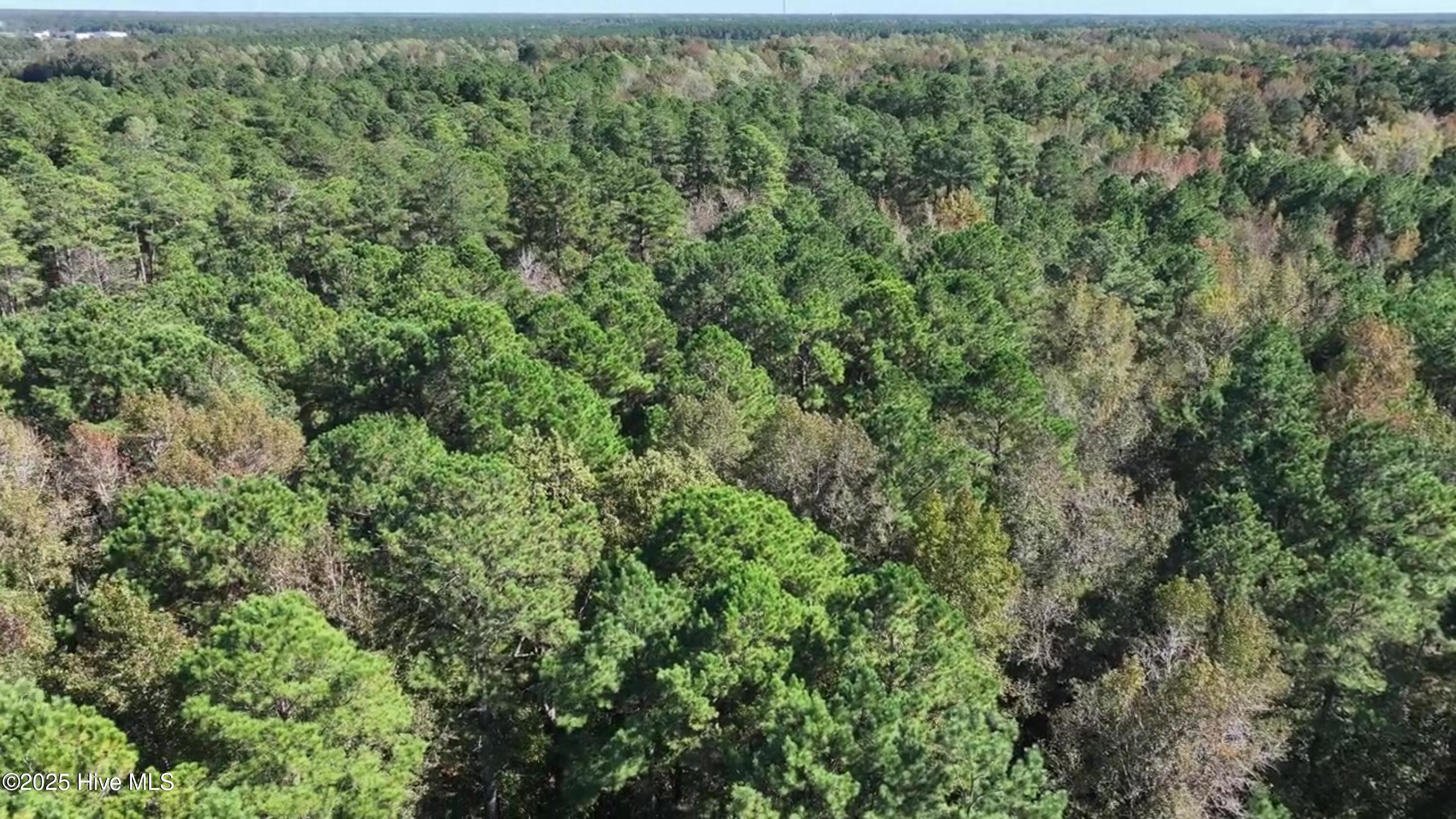 1 Ac. Money Hole Road