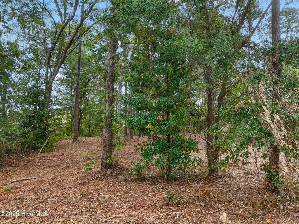 Photo of 112 Brookhaven Trail, Leland, NC 28451 (MLS # 100530828)