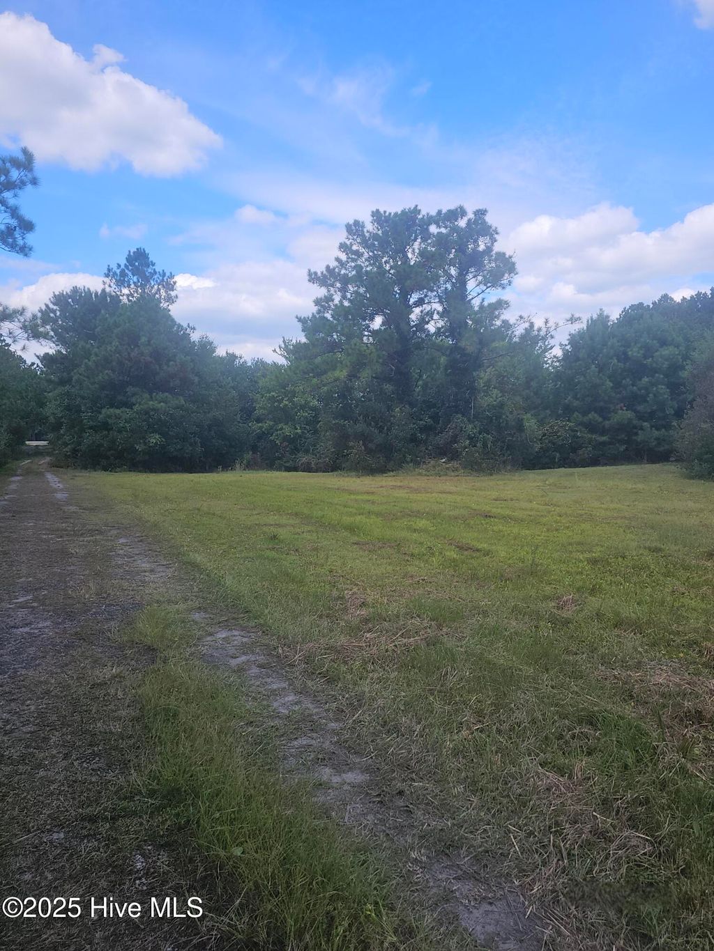 Photo of 9001 Wilmington Highway, Holly Ridge, NC 28445 (MLS # 100530471)