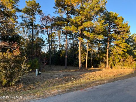 Vacant Land For Sale - 625 Vandemere Creek Drive<br/> Vandemere, NC 28587