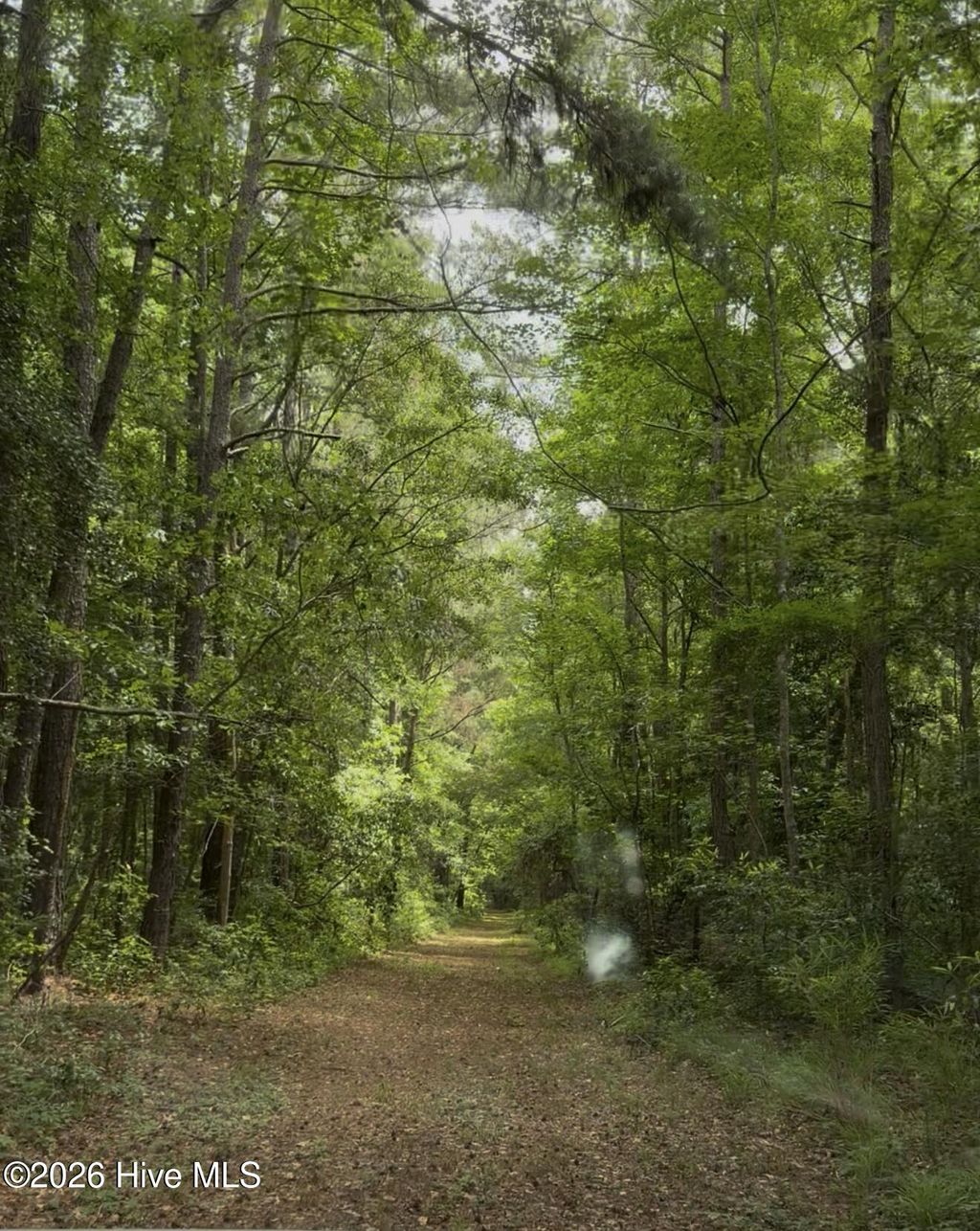 Photo of 2400 Us Highway 117 N, Burgaw, NC 28425 (MLS # 100576368)