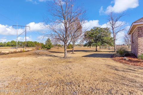 Tiny photo for 100 Scotlands Court, Hampstead, NC 28443 (MLS # 100543526)