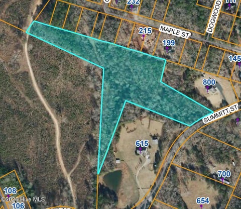 Vacant Land For Sale - TBD Summit Street<br/> Moore County, Carthage, NC 28327