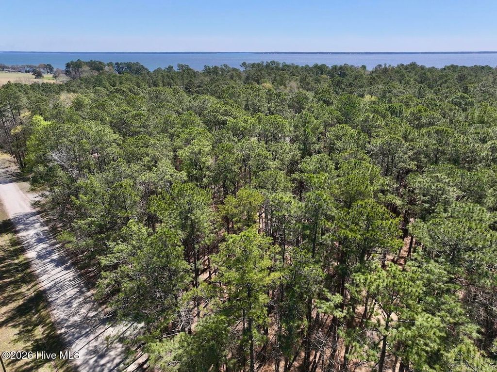 Photo of 1 Creek Place Road, Arapahoe, NC 28510 (MLS # 100561619)