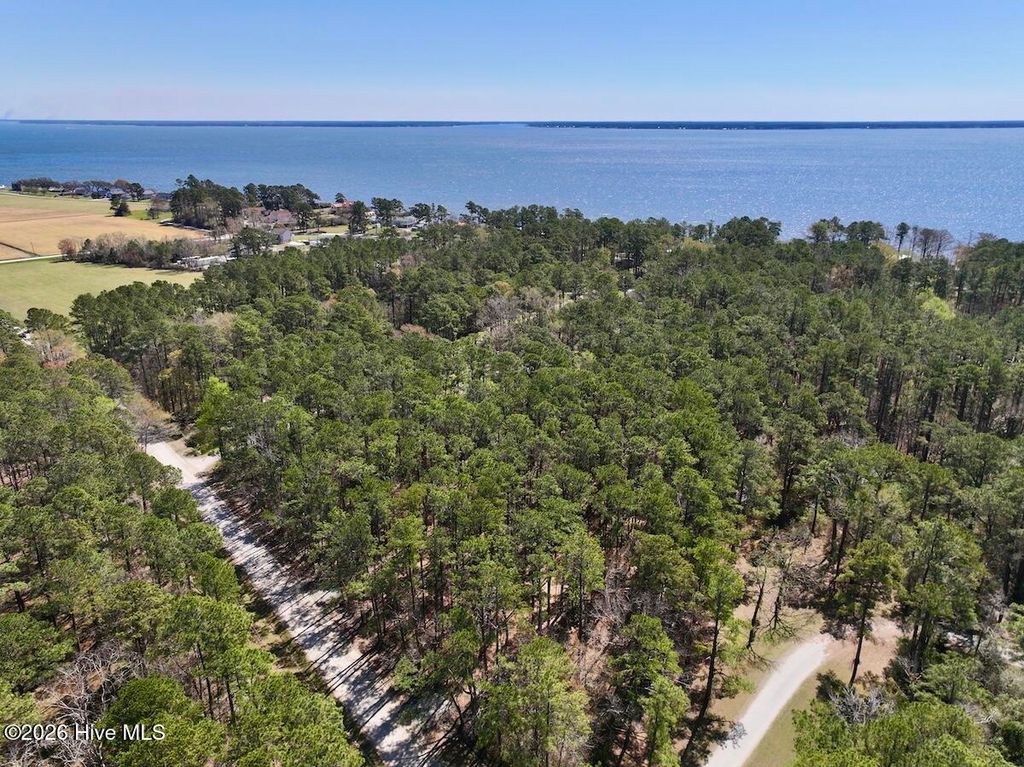 Photo of 1 Creek Place Road, Arapahoe, NC 28510 (MLS # 100561619)