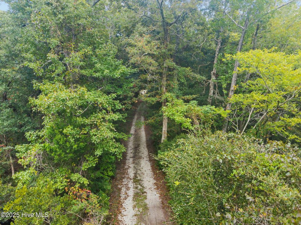 Photo of 128 Missie Cove Lane, Sneads Ferry, NC 28460 (MLS # 100530050)