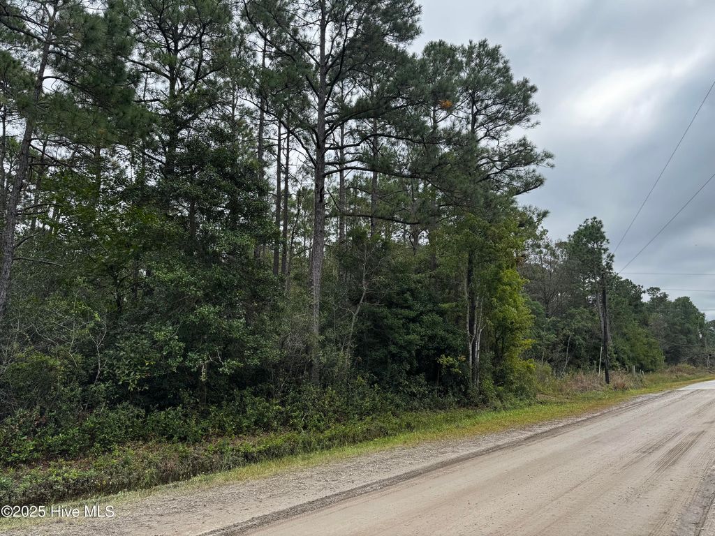 Photo of 498 Redwood Road, Southport, NC 28461 (MLS # 100536337)