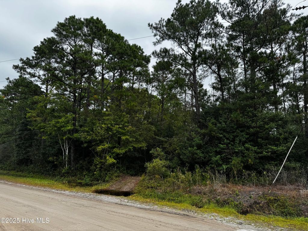 Photo of 498 Redwood Road, Southport, NC 28461 (MLS # 100536337)