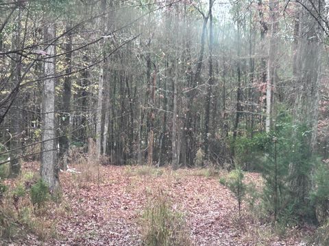 Vacant Land For Sale - 1956 Pineywoods Road<br/> Lincoln County, Lincolnton, GA 30817