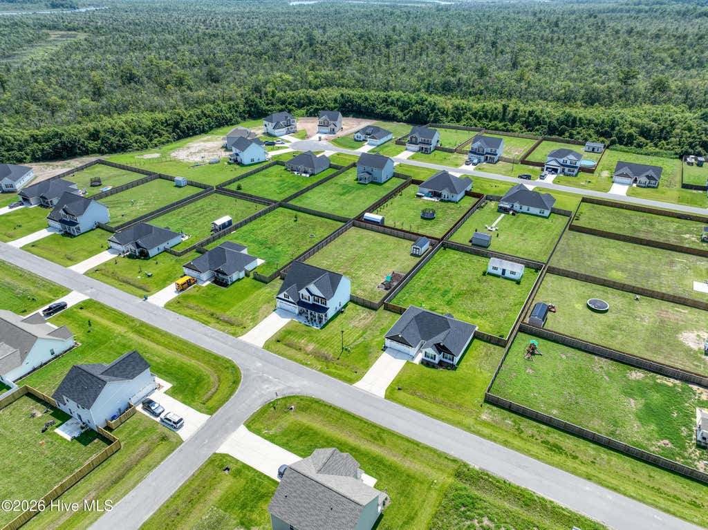Photo of 706 Puppy Drum Lane, Maysville, NC 28555 (MLS # 100591550)
