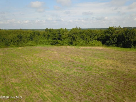 Vacant Land For Sale - 1 S Nc 41 Highway<br/> Wallace, NC 28466