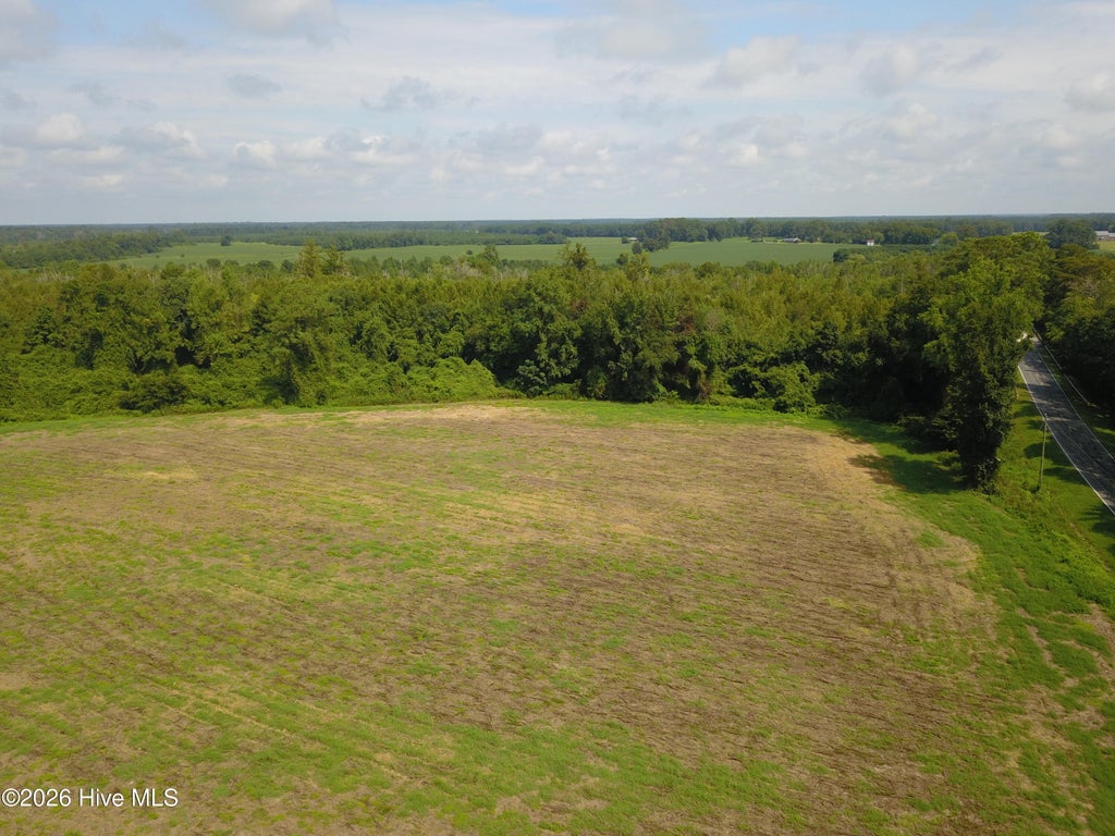Photo of 1 S Nc 41 Highway, Wallace, NC 28466 (MLS # 100599793)