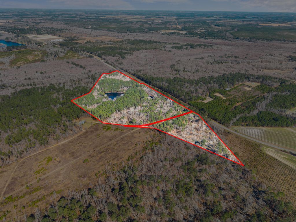 Photo of 22701 Hwy 129, Cobbtown, GA 30420 (MLS # 552538)