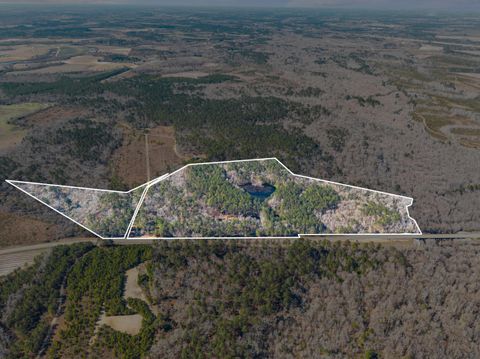 Vacant Land For Sale - 22701 Hwy 129<br/> Cobbtown, GA 30420