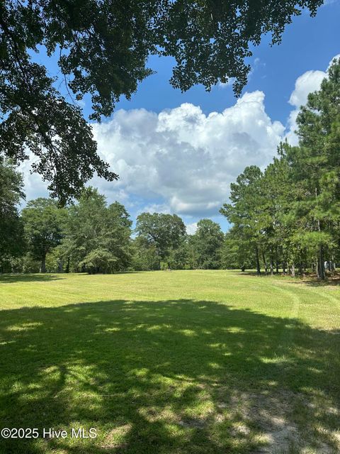 Tiny photo for 250 Long Bluff Road, Currie, NC 28435 (MLS # 100532437)