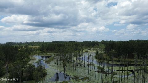 Tiny photo for 250 Long Bluff Road, Currie, NC 28435 (MLS # 100532437)