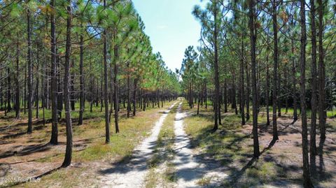 Tiny photo for 250 Long Bluff Road, Currie, NC 28435 (MLS # 100532437)