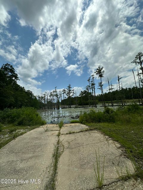 Tiny photo for 250 Long Bluff Road, Currie, NC 28435 (MLS # 100532437)