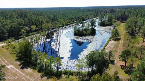 Tiny photo for 250 Long Bluff Road, Currie, NC 28435 (MLS # 100532437)