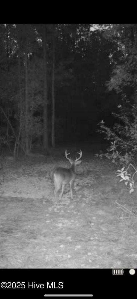 Tiny photo for 250 Long Bluff Road, Currie, NC 28435 (MLS # 100532437)