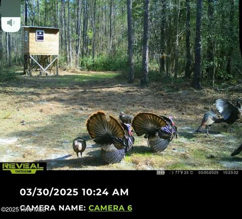 Tiny photo for 250 Long Bluff Road, Currie, NC 28435 (MLS # 100532437)