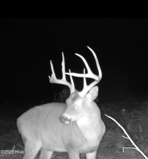 Tiny photo for 250 Long Bluff Road, Currie, NC 28435 (MLS # 100532437)