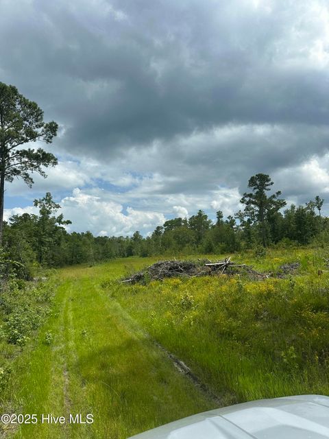 Tiny photo for 250 Long Bluff Road, Currie, NC 28435 (MLS # 100532437)