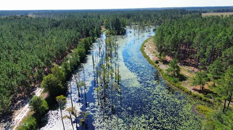 Tiny photo for 250 Long Bluff Road, Currie, NC 28435 (MLS # 100532437)