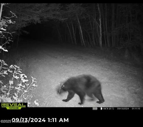 Tiny photo for 250 Long Bluff Road, Currie, NC 28435 (MLS # 100532437)