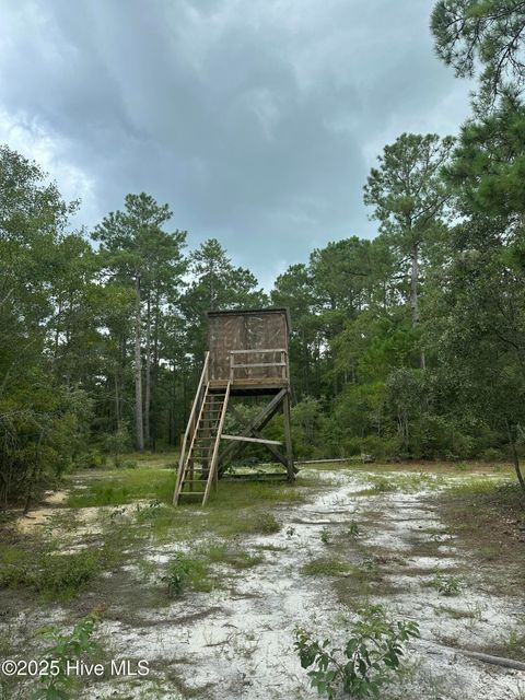 Tiny photo for 250 Long Bluff Road, Currie, NC 28435 (MLS # 100532437)