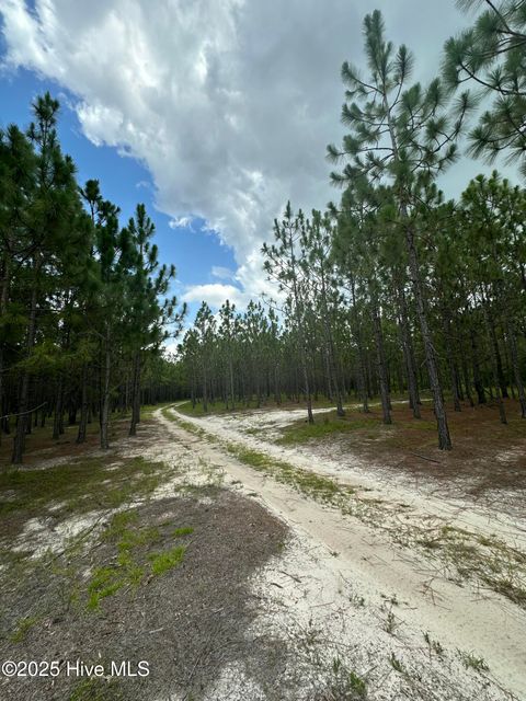 Tiny photo for 250 Long Bluff Road, Currie, NC 28435 (MLS # 100532437)