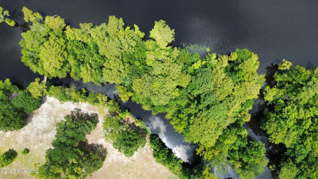 Photo of 250 Long Bluff Road, Currie, NC 28435 (MLS # 100532437)