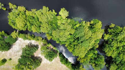 Tiny photo for 250 Long Bluff Road, Currie, NC 28435 (MLS # 100532437)