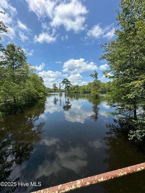 Tiny photo for 250 Long Bluff Road, Currie, NC 28435 (MLS # 100532437)