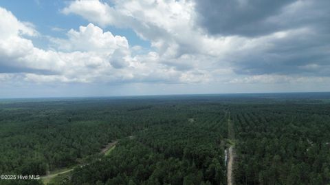 Tiny photo for 250 Long Bluff Road, Currie, NC 28435 (MLS # 100532437)